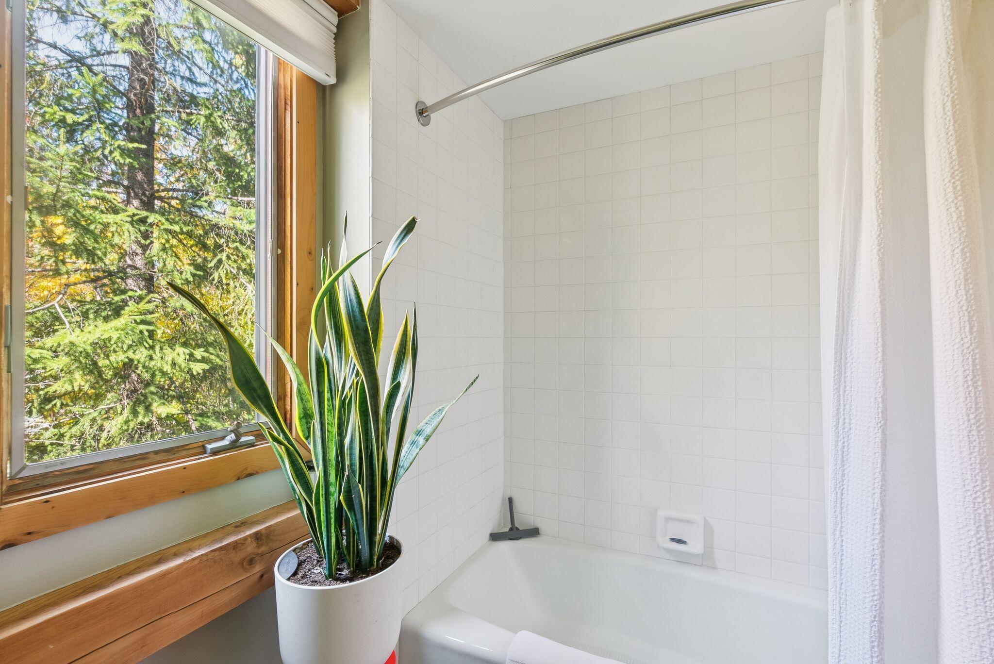 723 Webber Street, 723