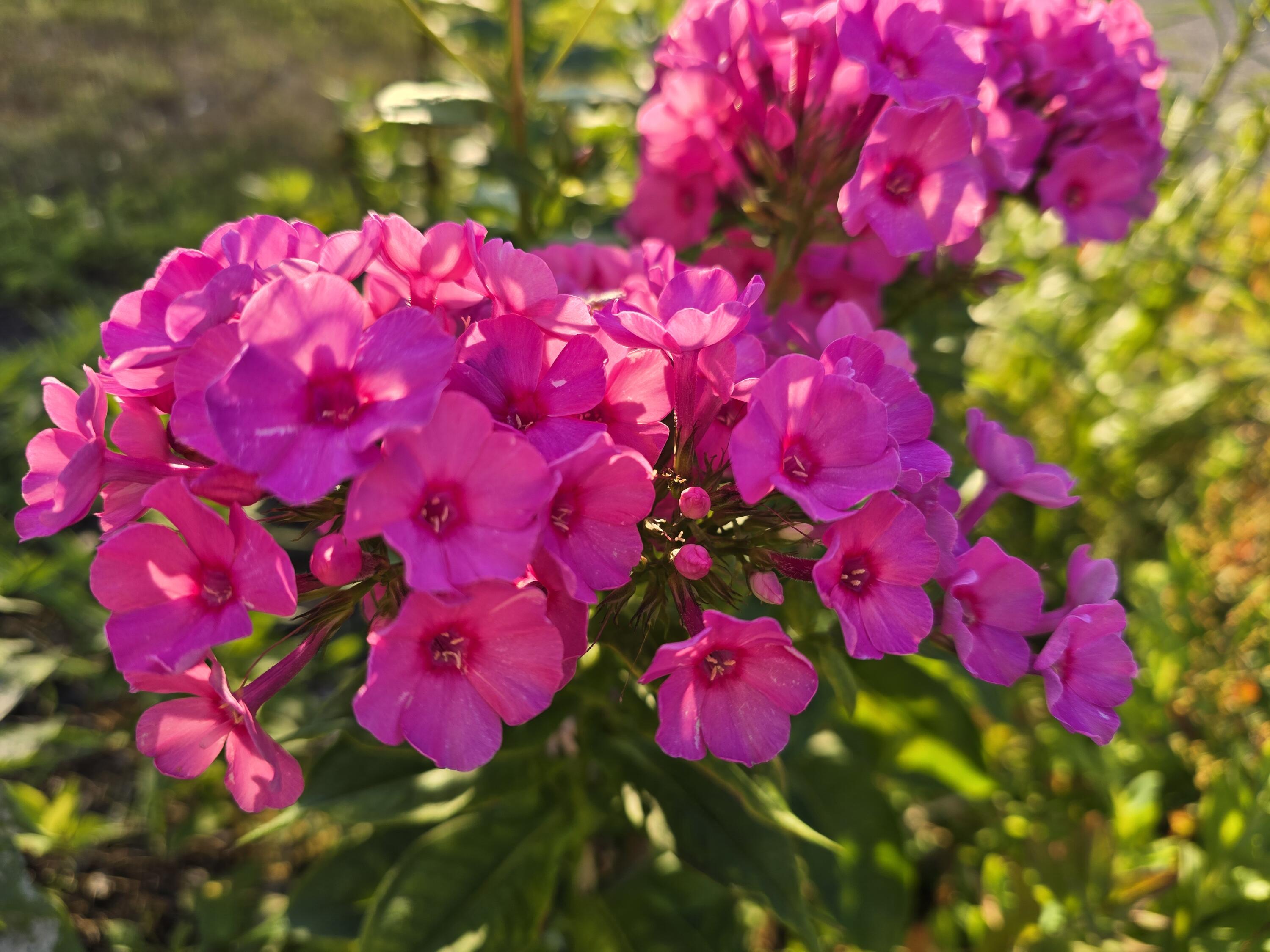 27 Pepperell Street 1