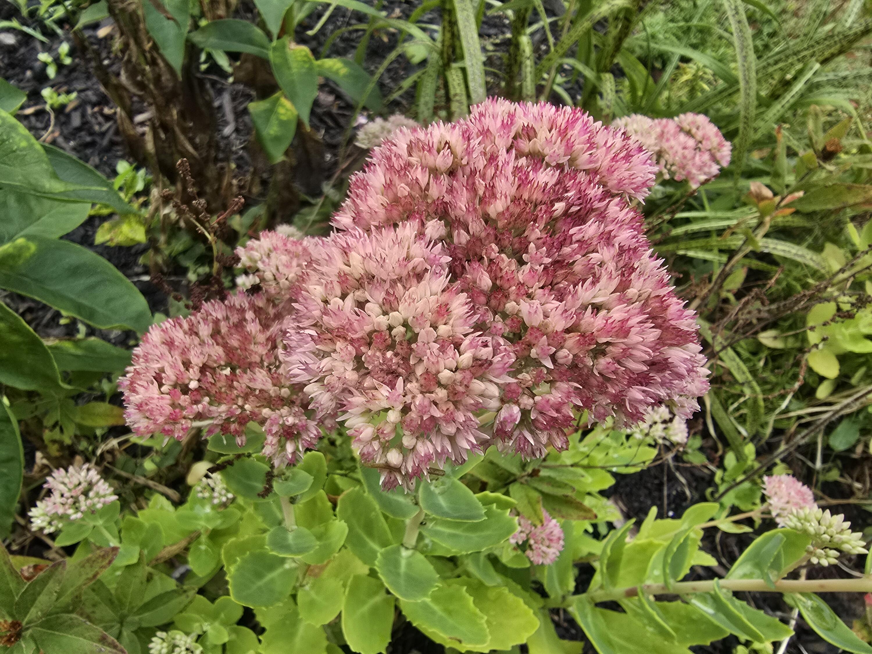 27 Pepperell Street 1