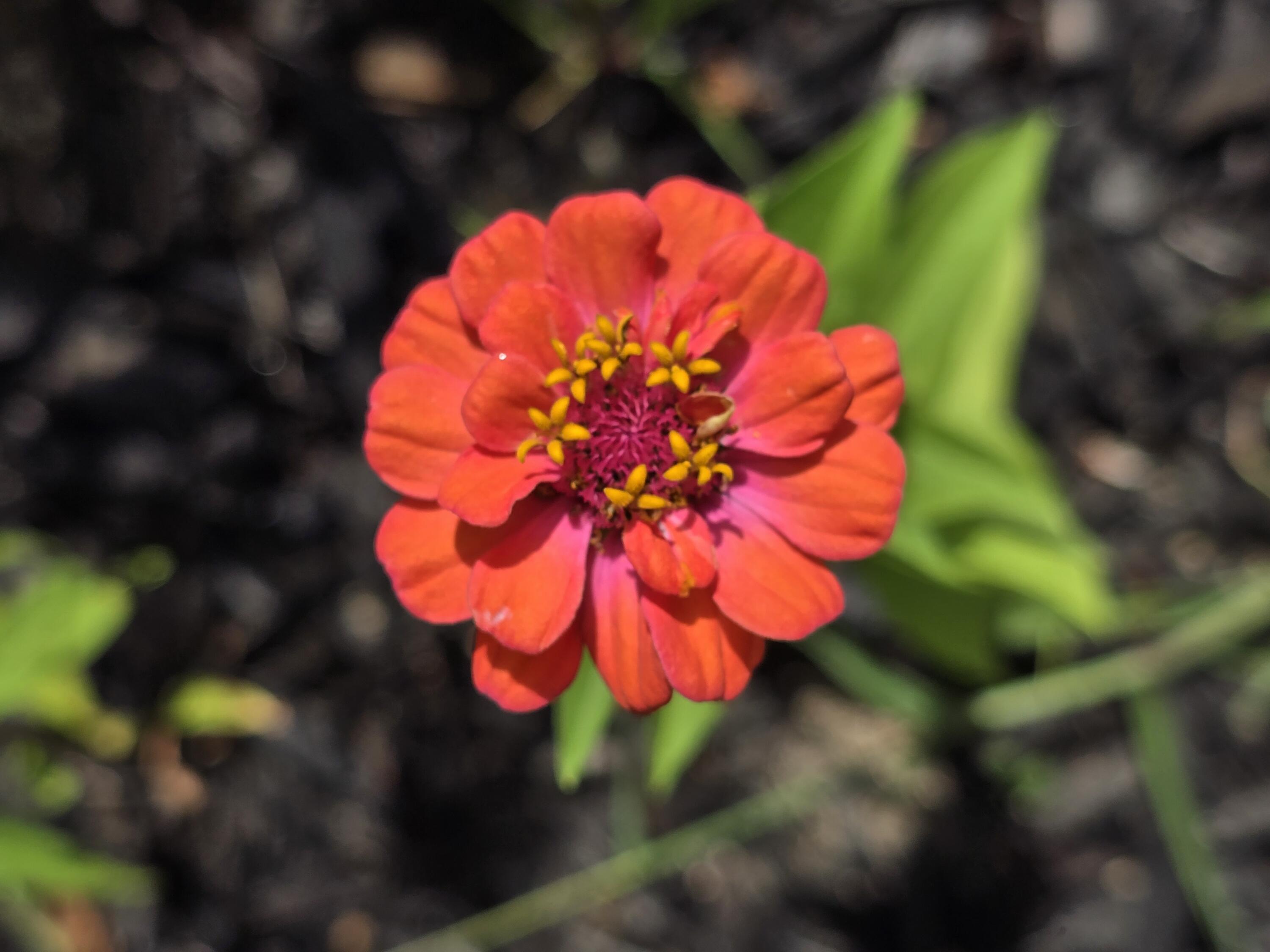 27 Pepperell Street 1