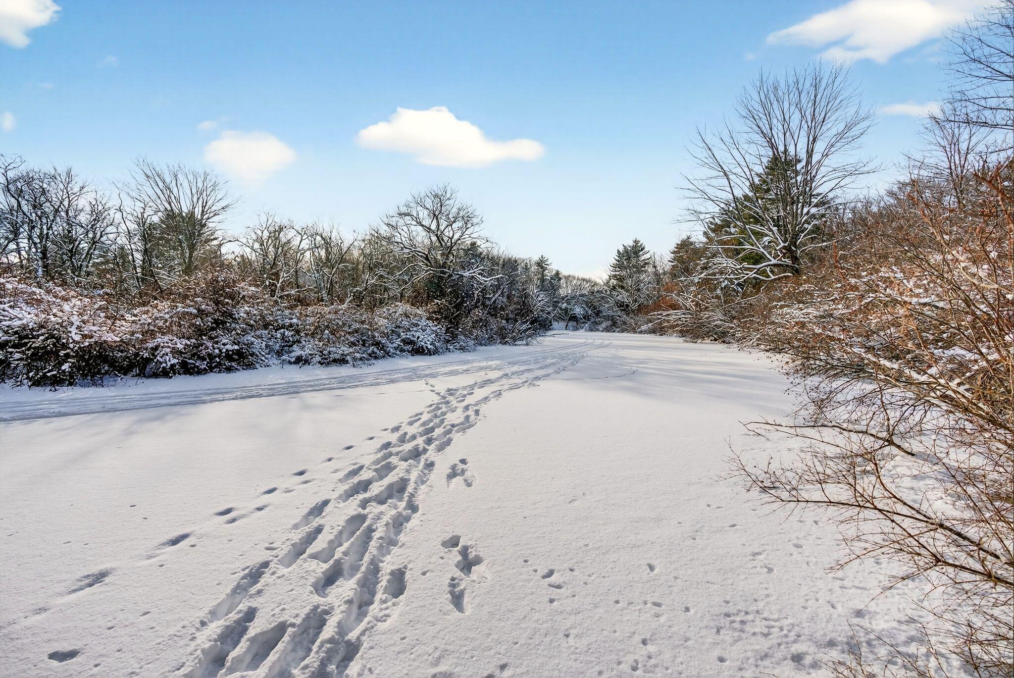 1346 Westbrook Street