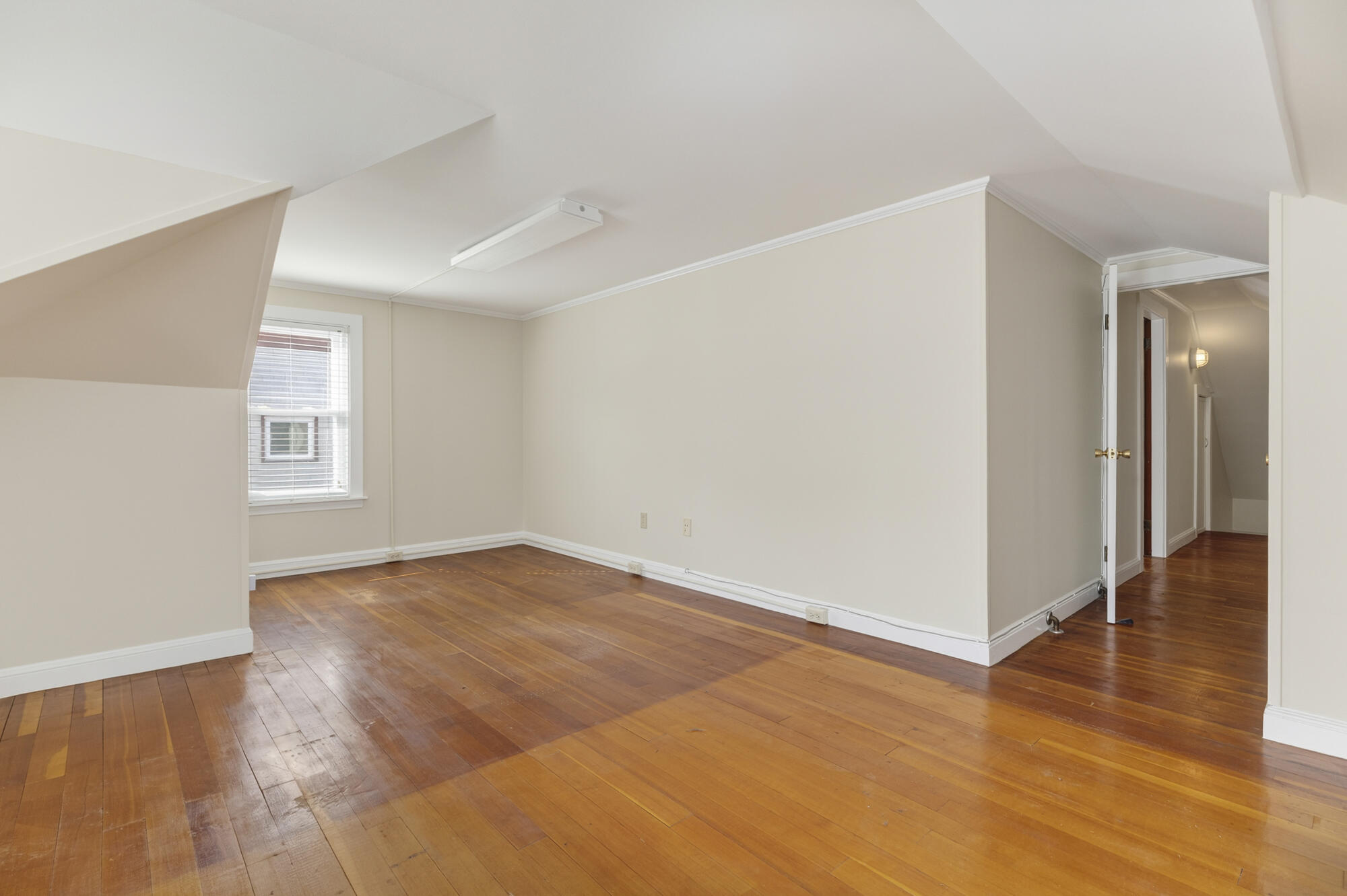 47 Elsmere Avenue