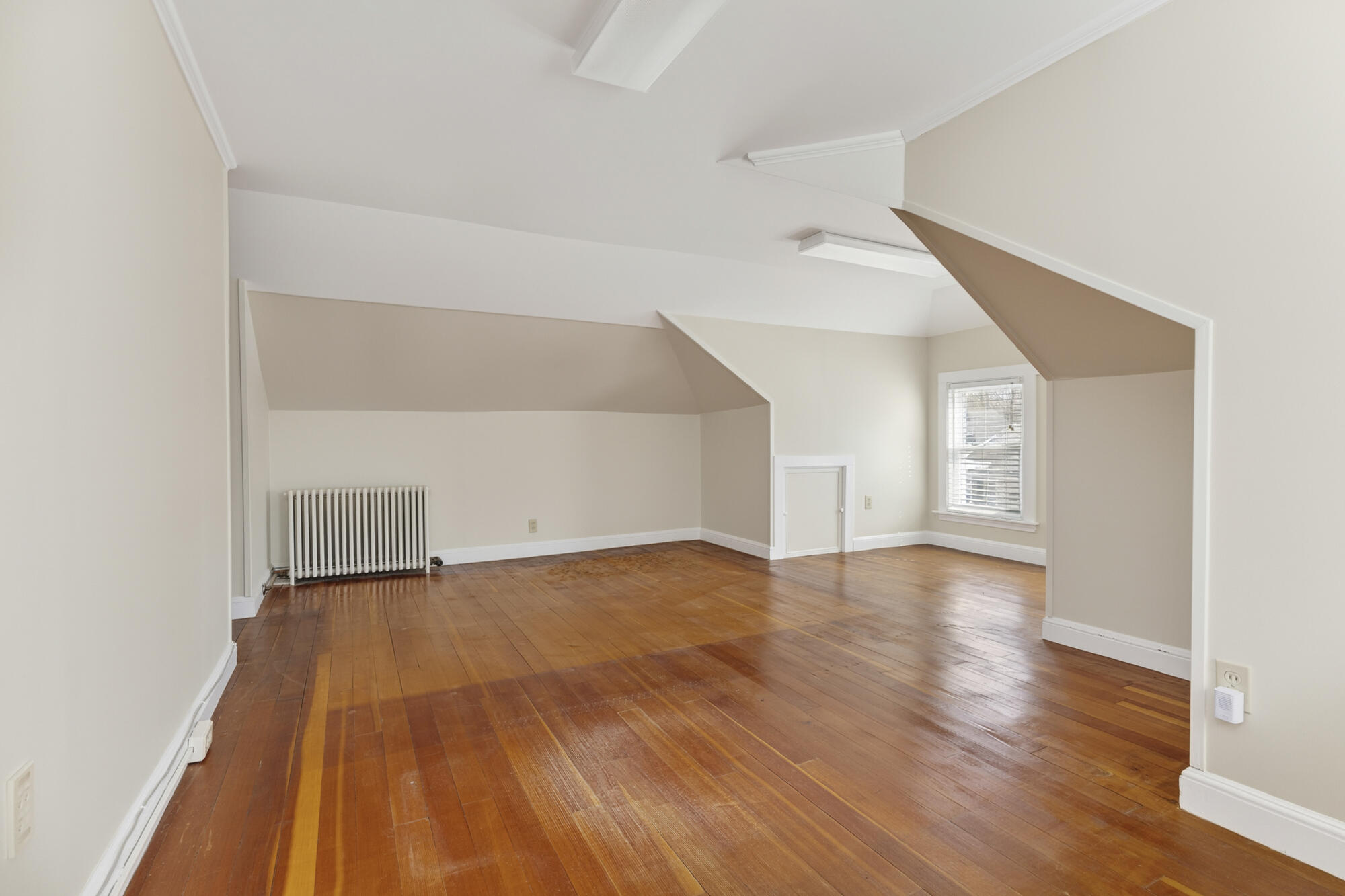 47 Elsmere Avenue