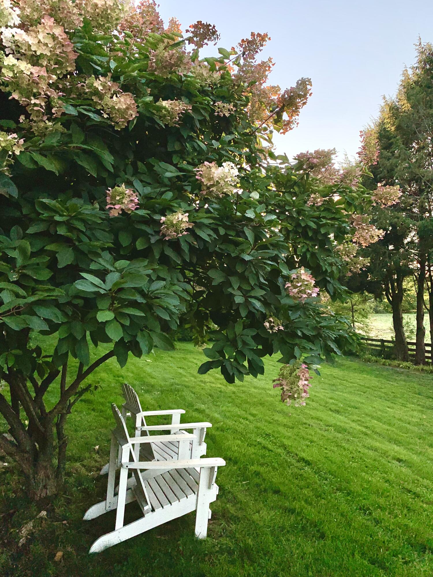 51 Flaggy Meadow Road