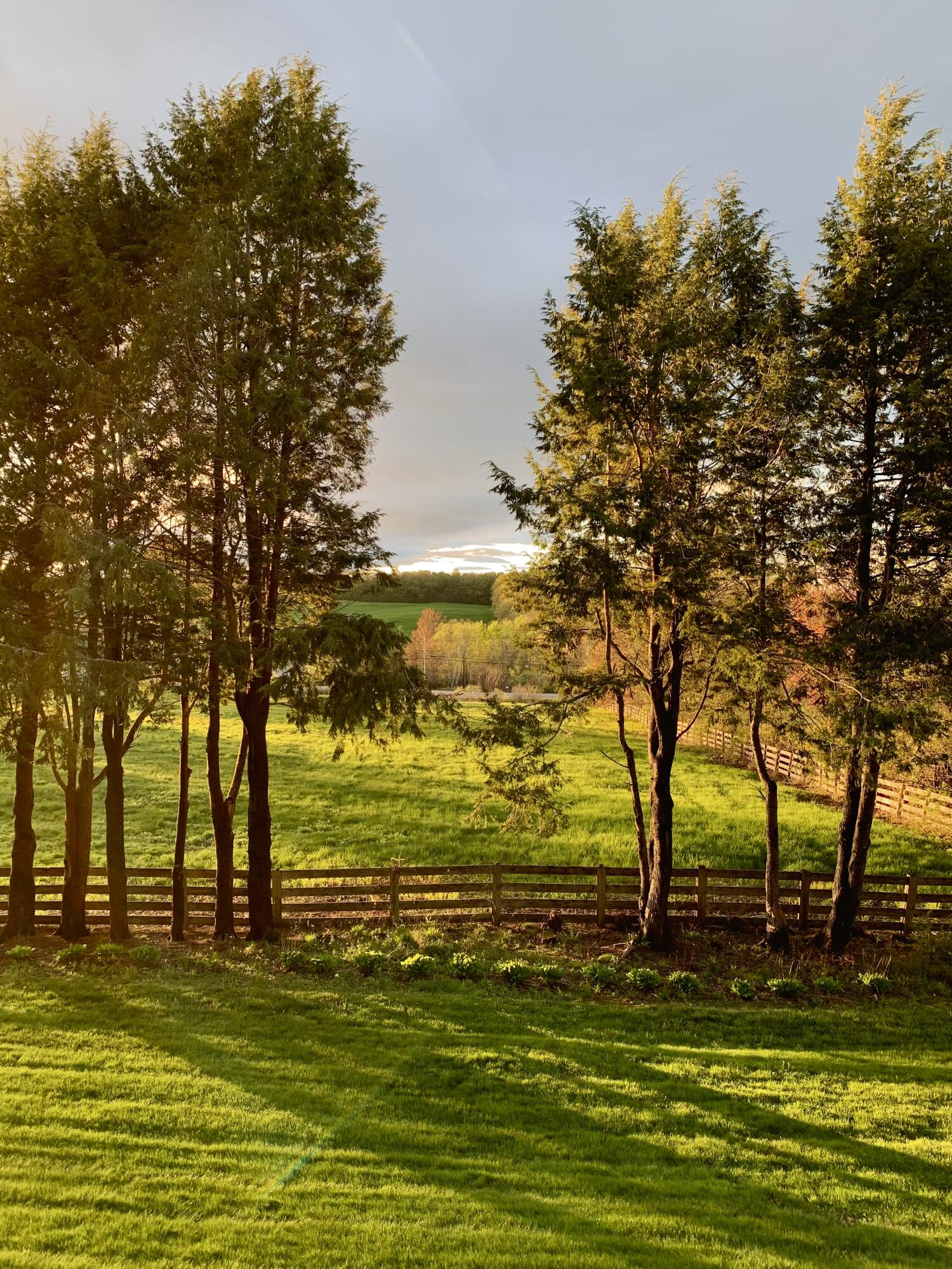 51 Flaggy Meadow Road