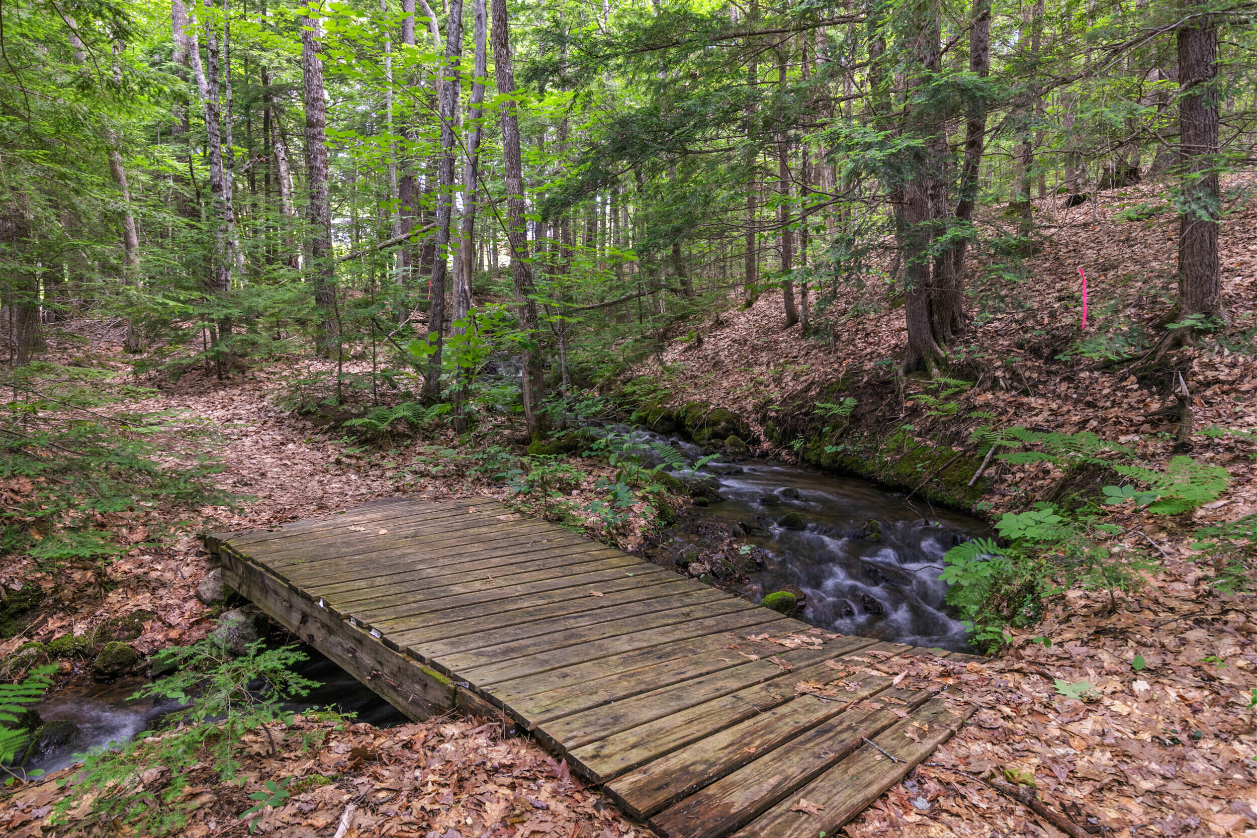 386 Lake House Road