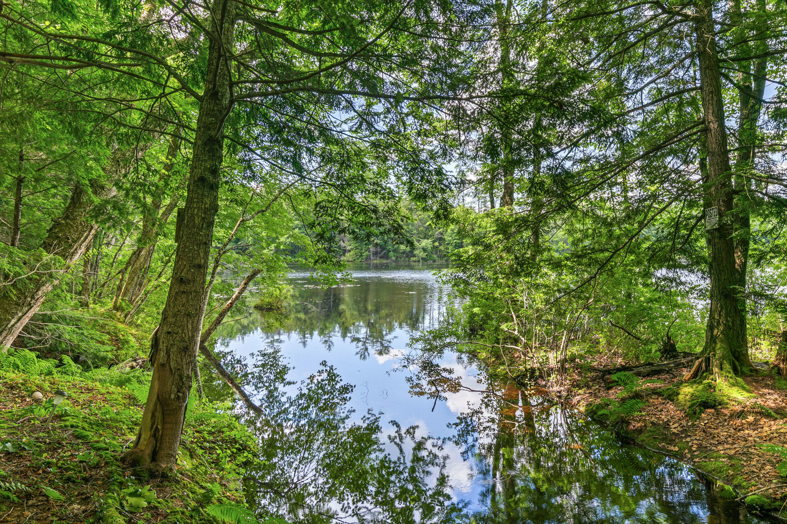 386 Lake House Road