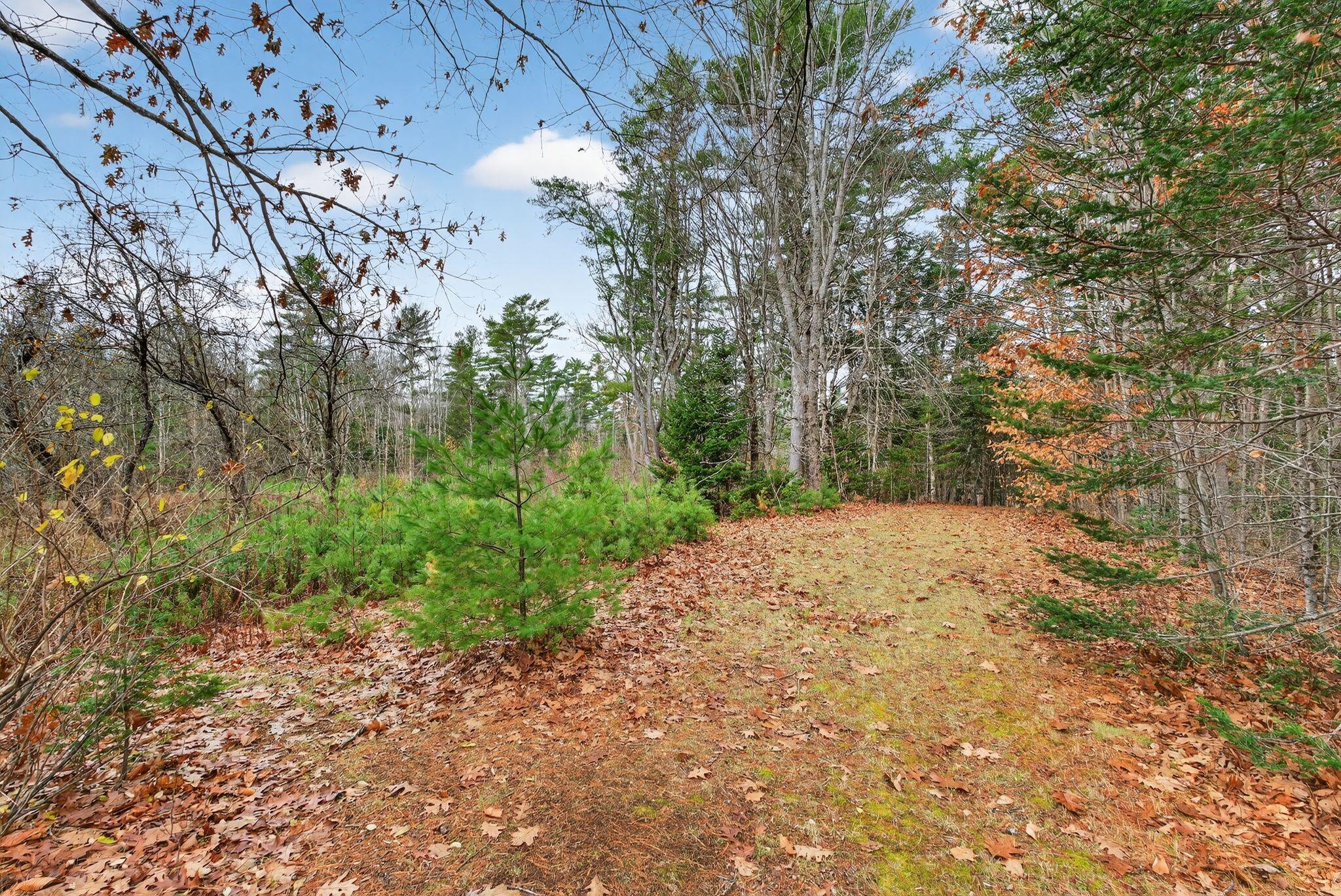 300 Meadow Cross Road