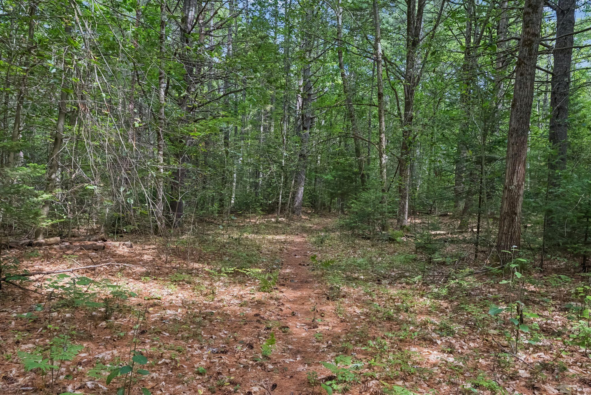 496 Davis Road