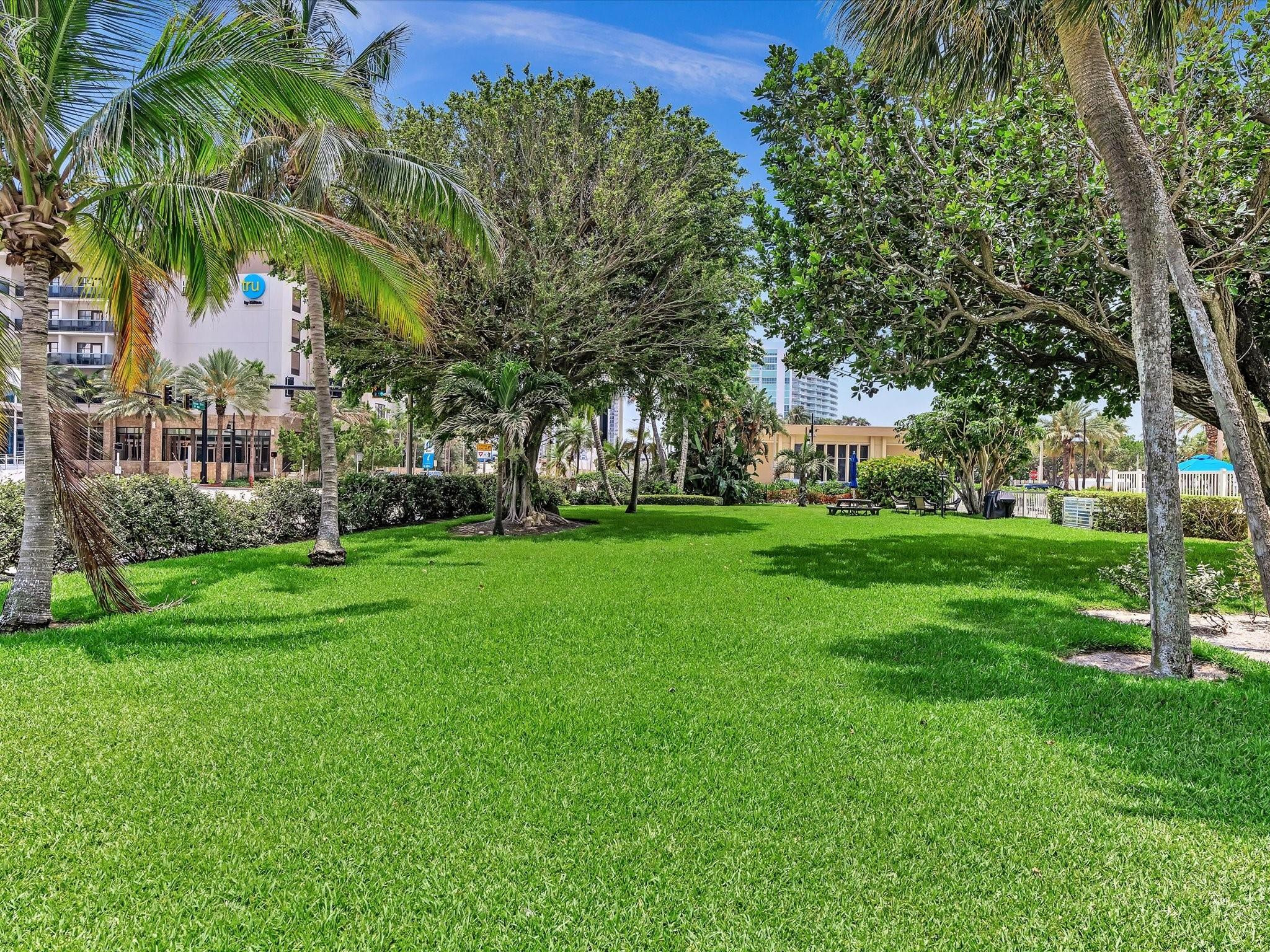Condominium grounds with a broad lawn, palm trees, and shaded picnic tables.