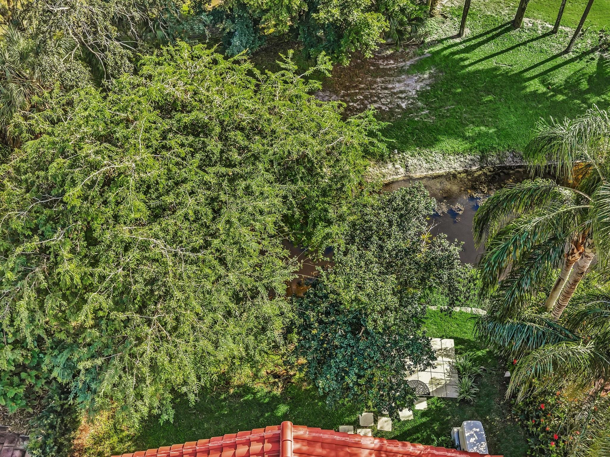 3580 Canary Palm Ct