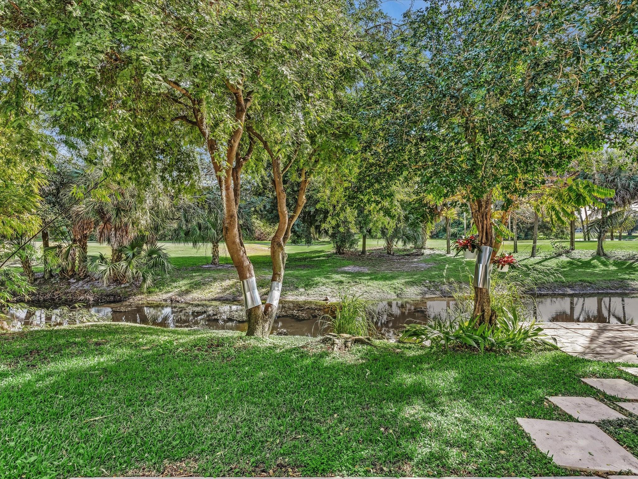 3580 Canary Palm Ct