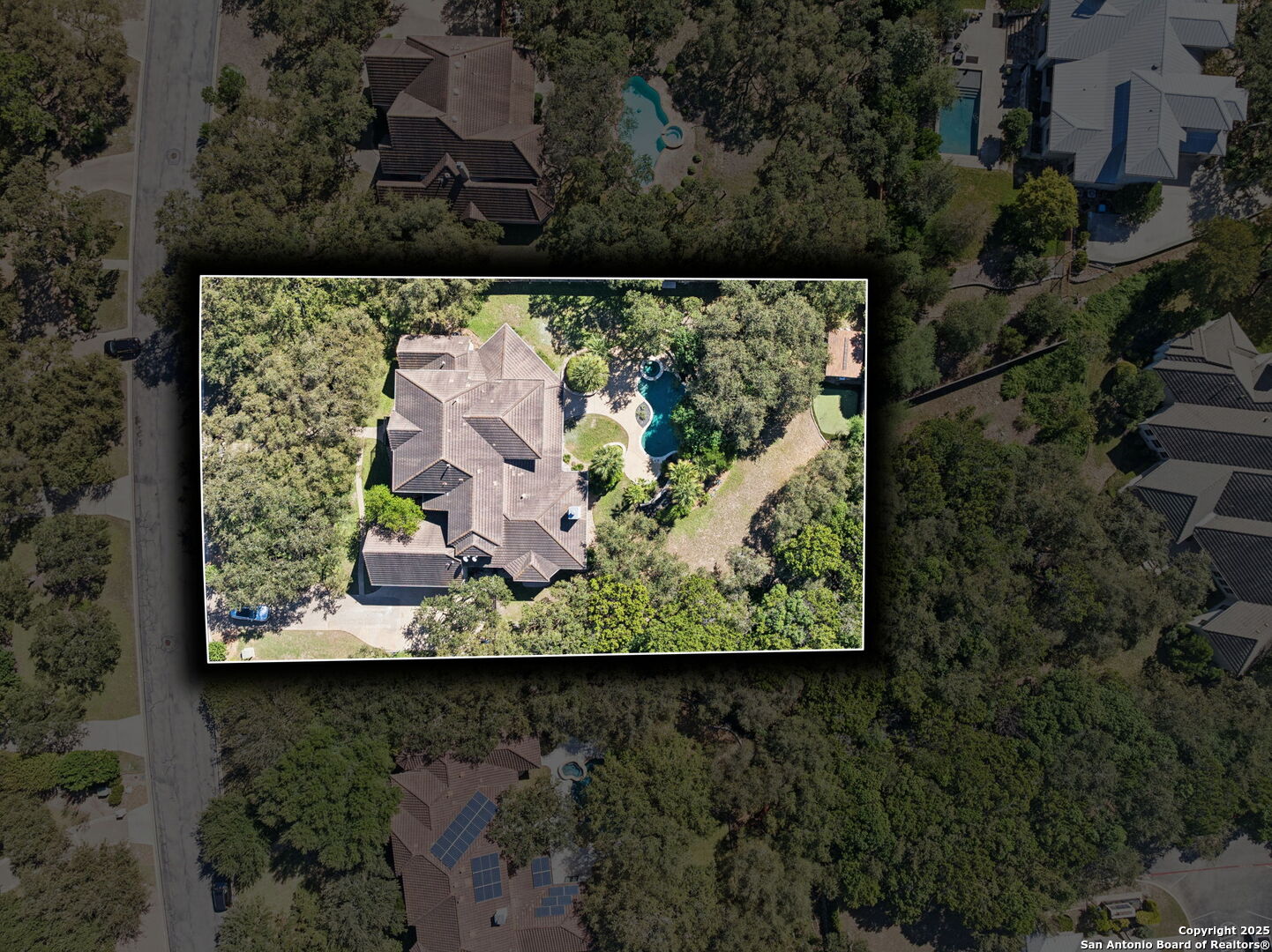 512 Blackjack Oak