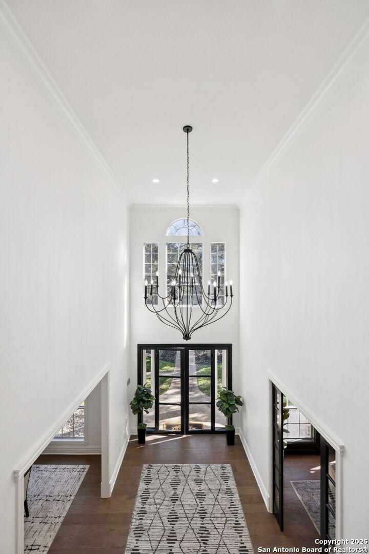 512 Blackjack Oak
