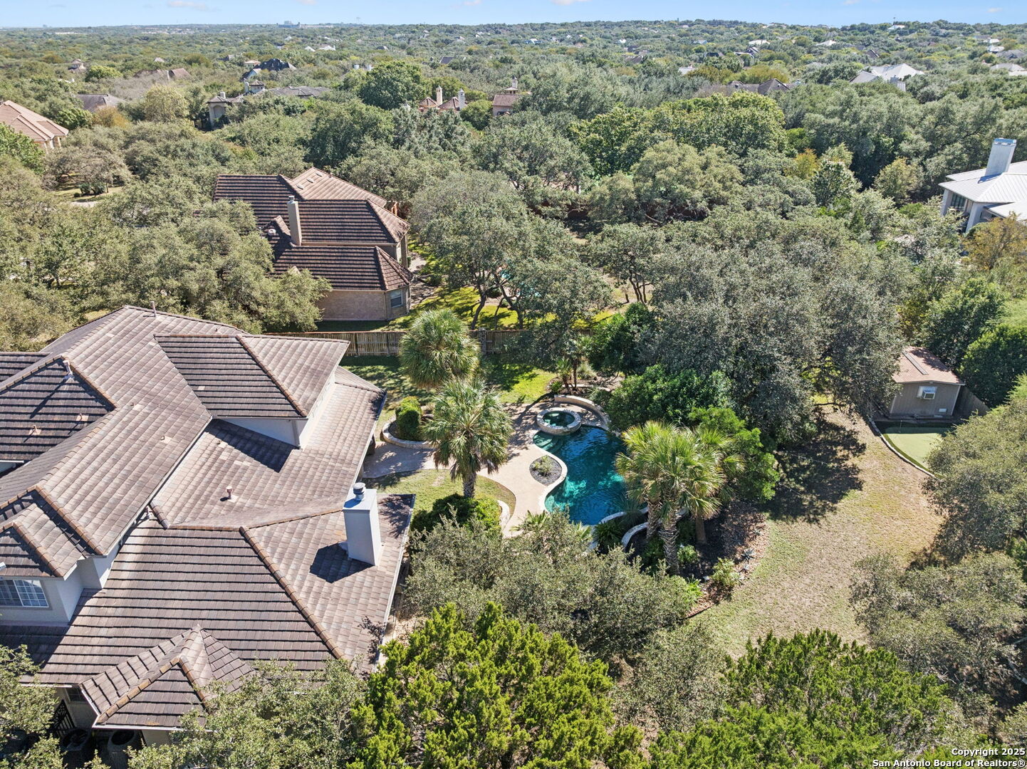512 Blackjack Oak