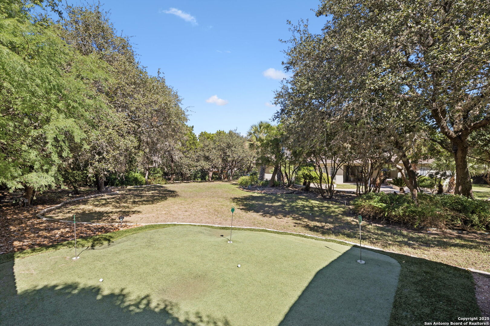 512 Blackjack Oak