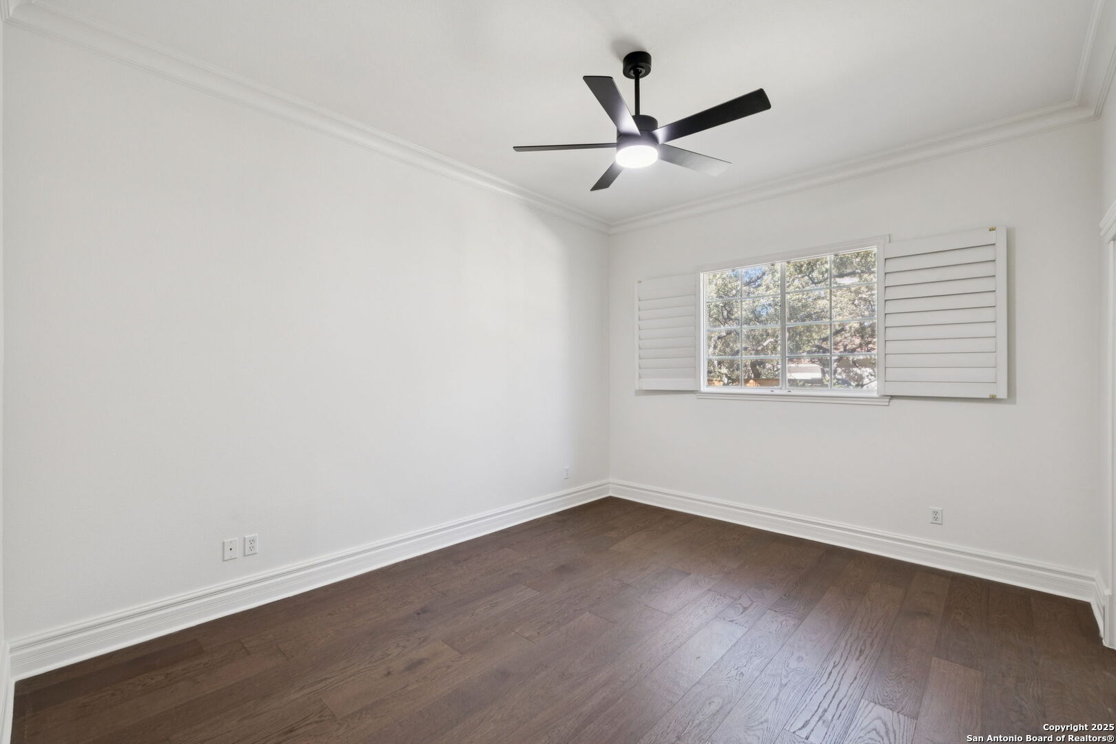 512 Blackjack Oak