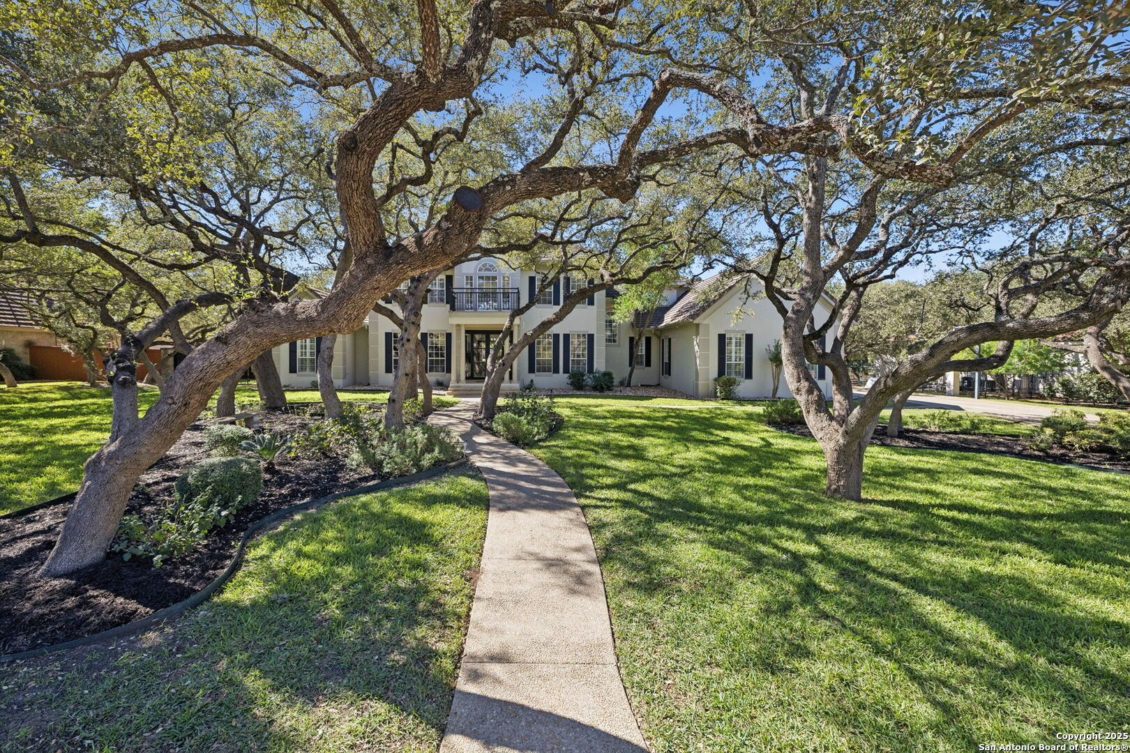 512 Blackjack Oak