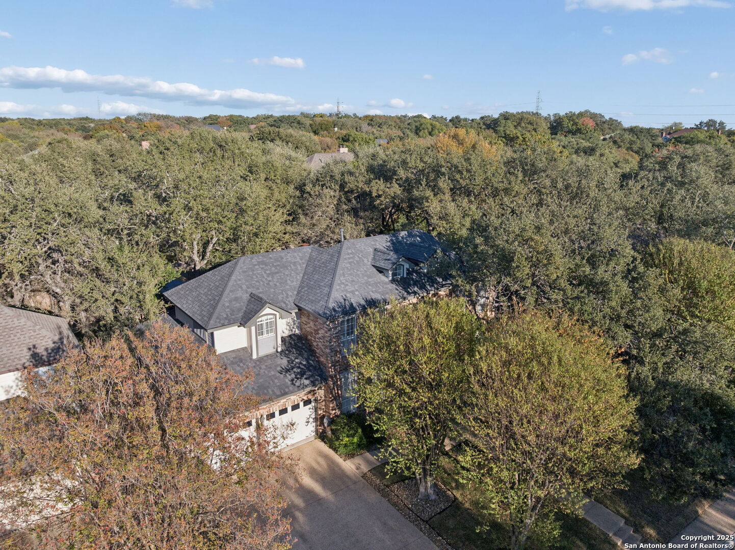 10 Rogers Wood