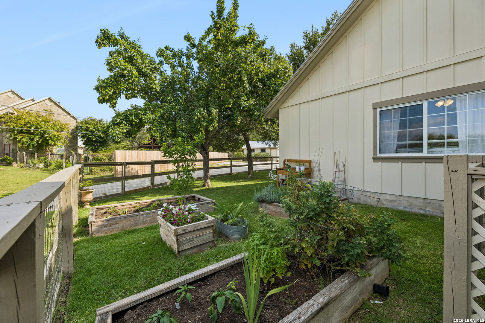 Backyard with raised garden beds, leafy trees, and a fenced lawn beside the house.