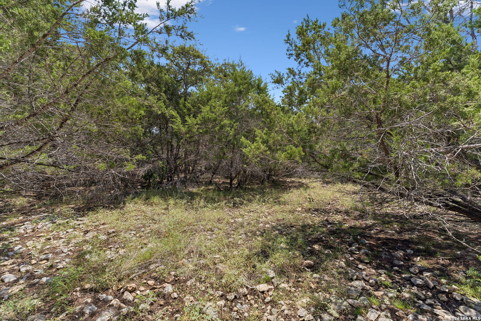 LOT 62 Saddle Mountain