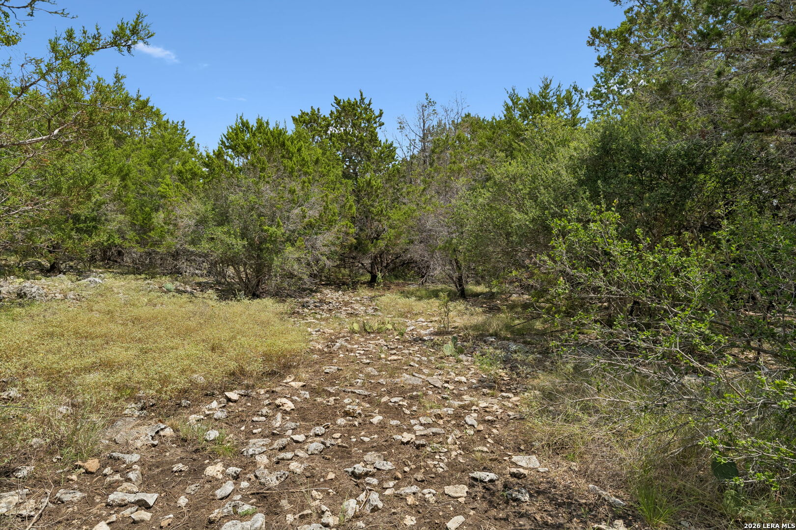 LOT 62 Saddle Mountain