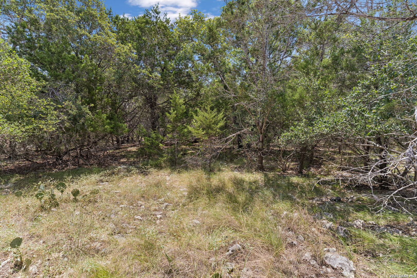 LOT 62 Saddle Mountain