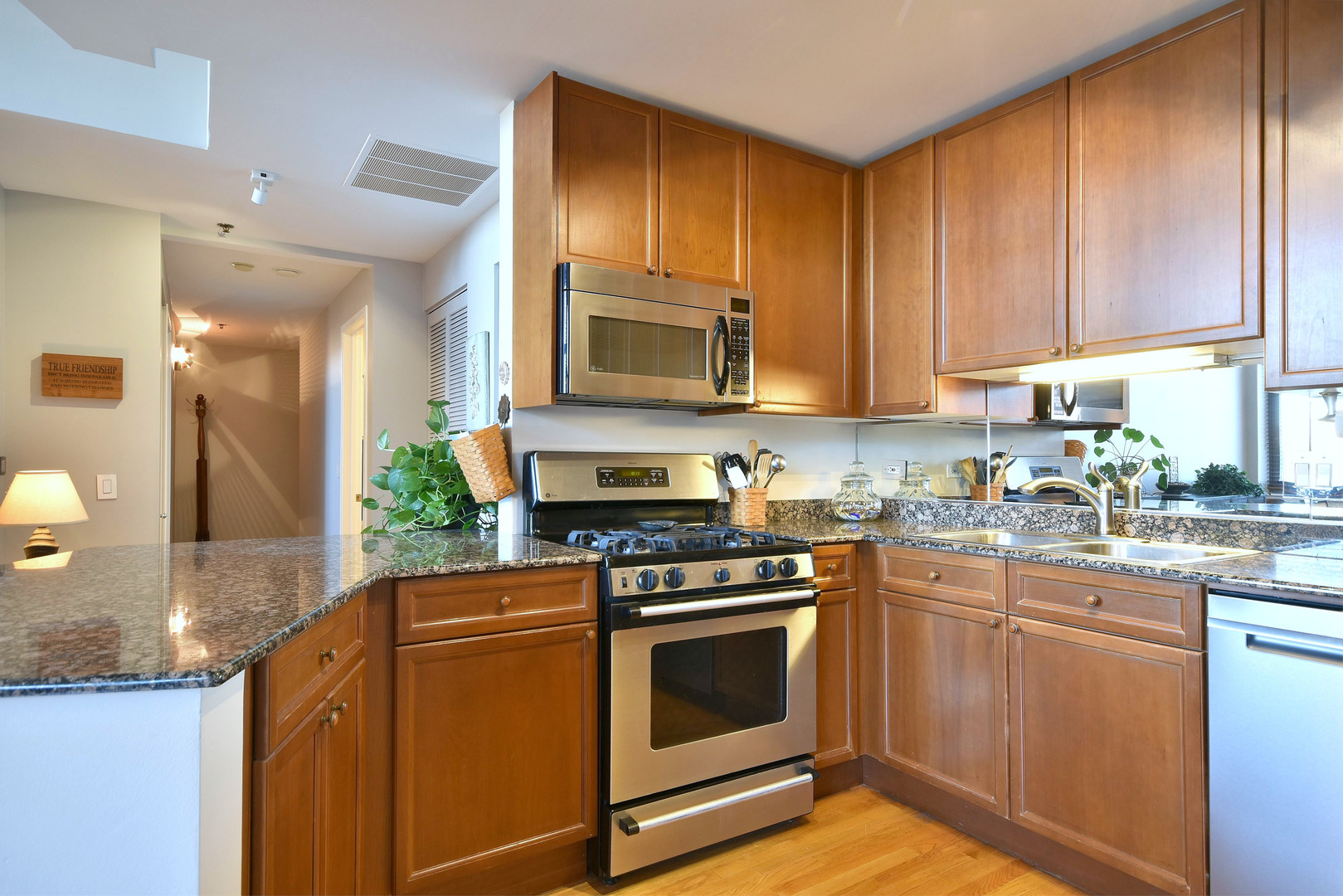1201 W Adams Street Unit: 411