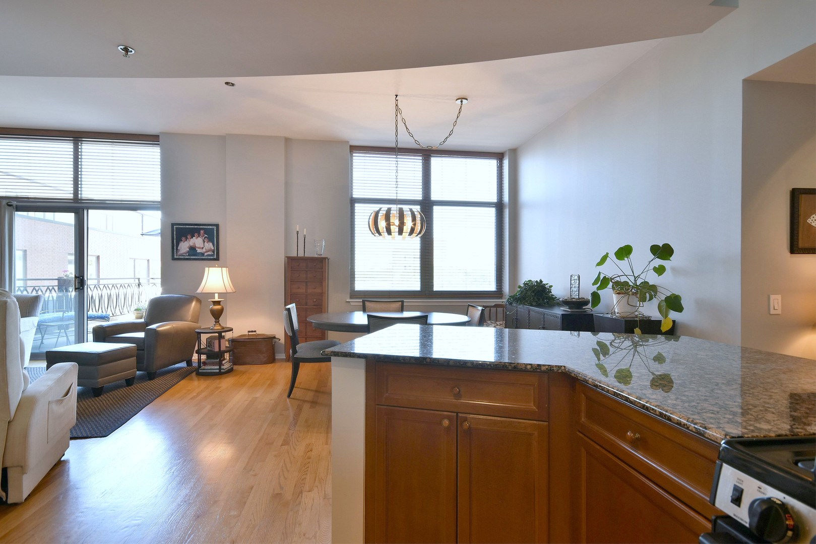 1201 W Adams Street Unit: 411