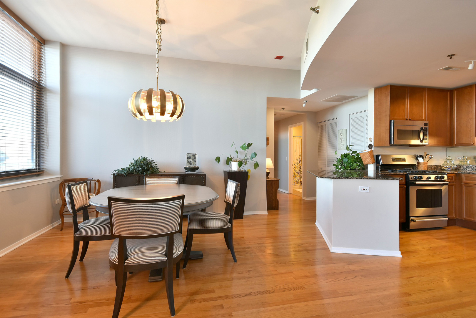 1201 W Adams Street Unit: 411