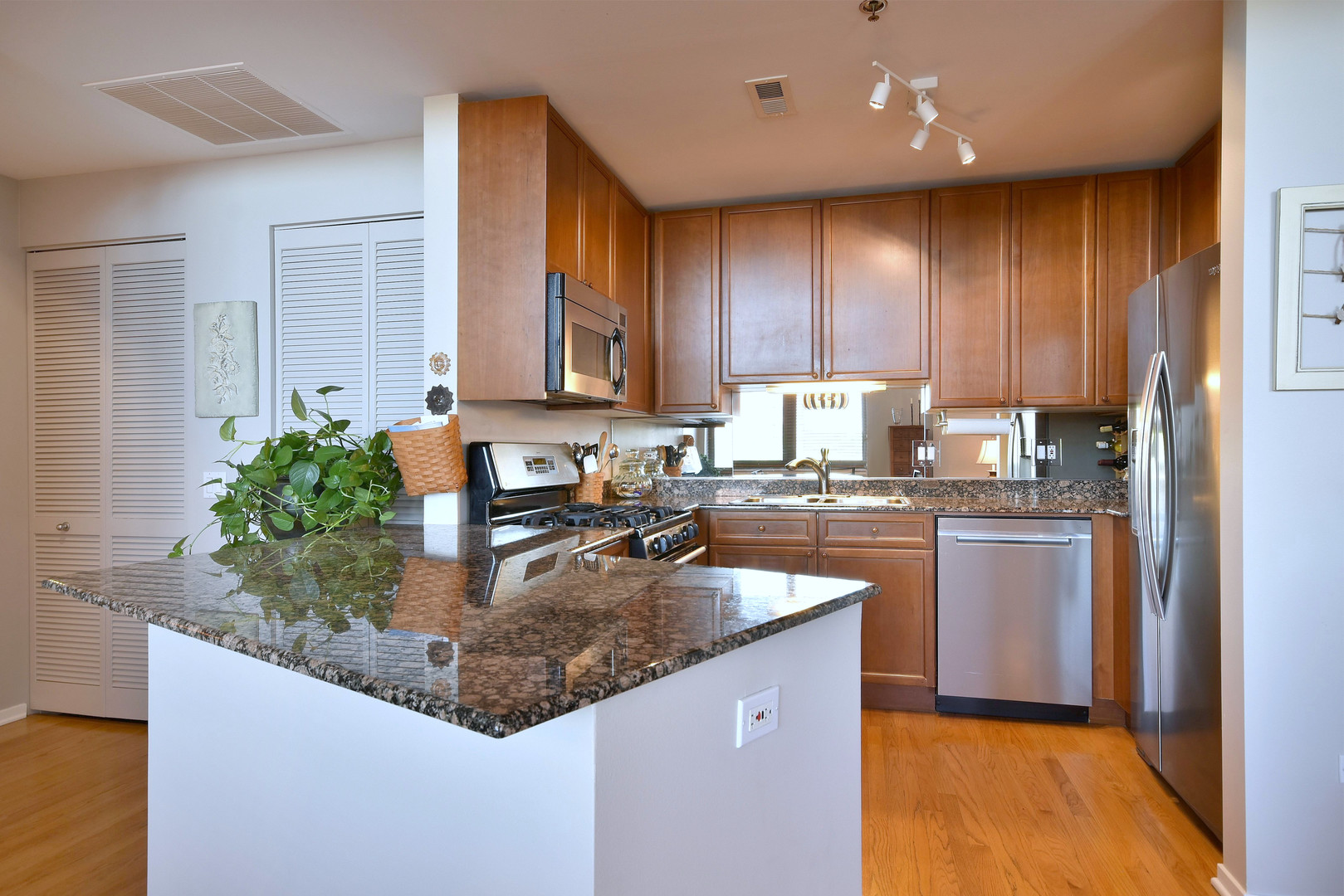 1201 W Adams Street Unit: 411