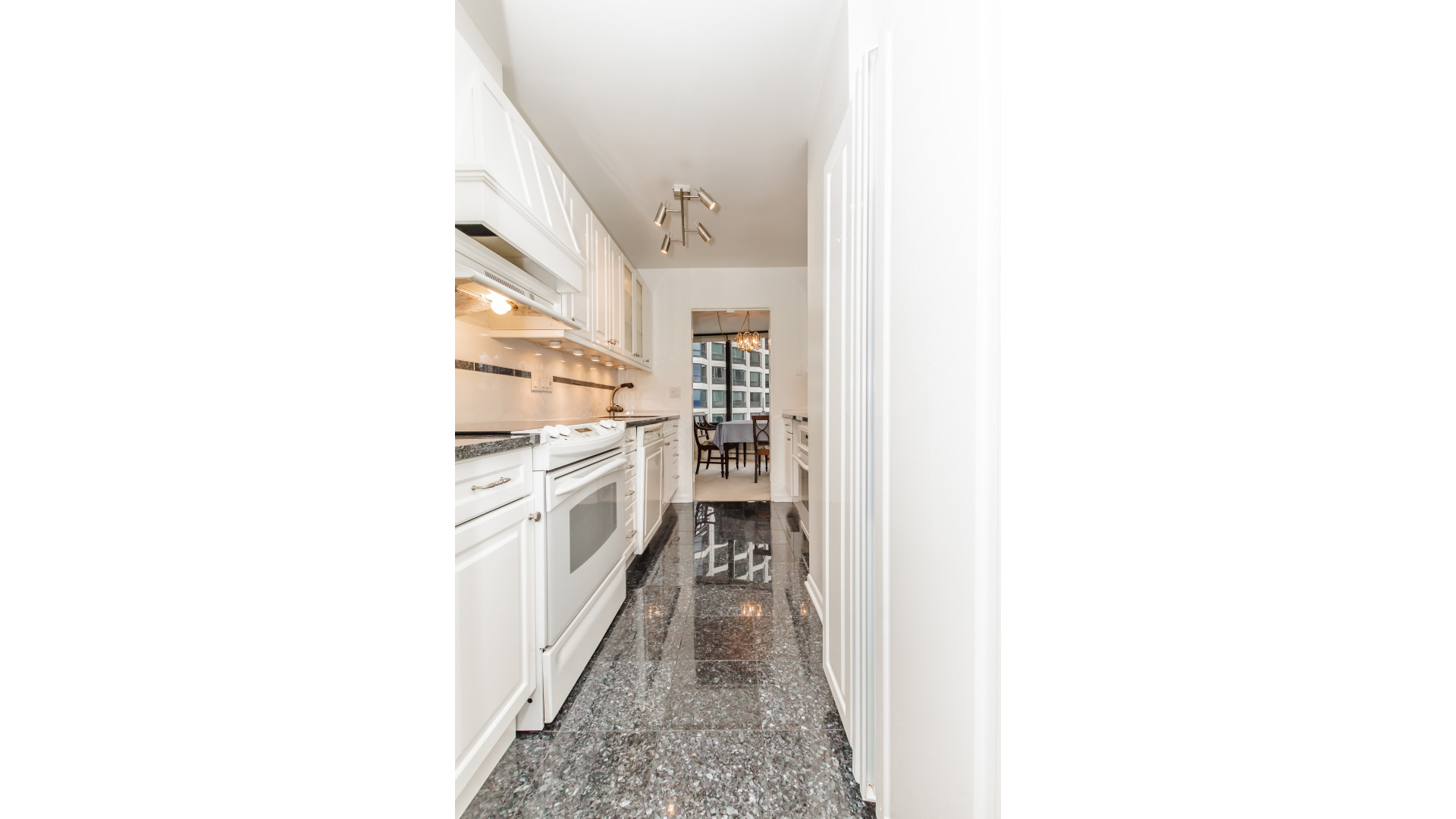 155 N Harbor Drive Unit: 1304