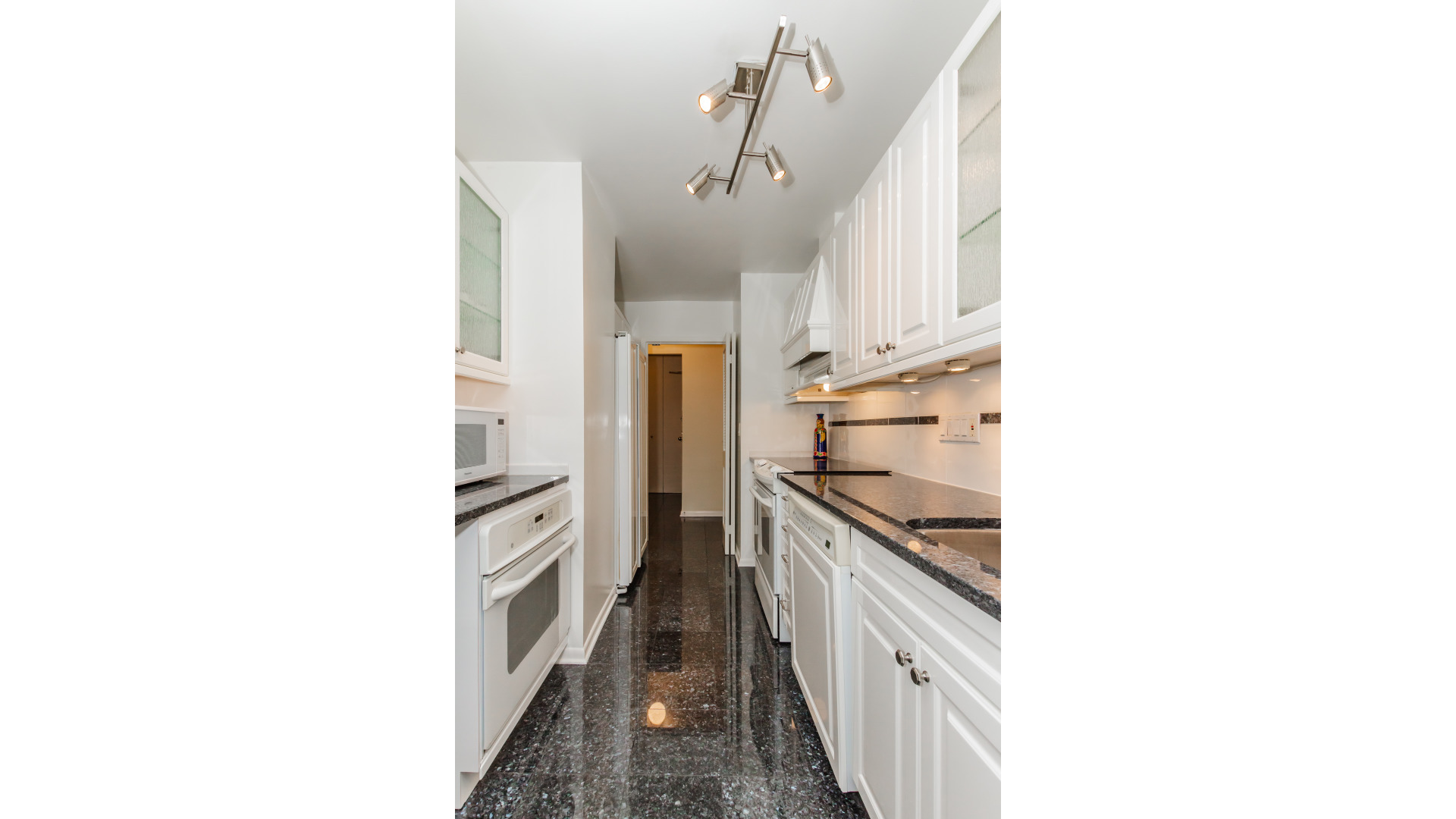 155 N Harbor Drive Unit: 1304