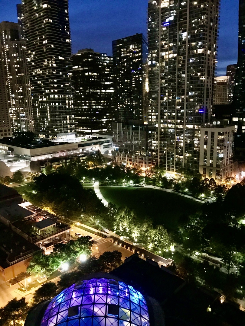 400 E Randolph Street Unit: 3018
