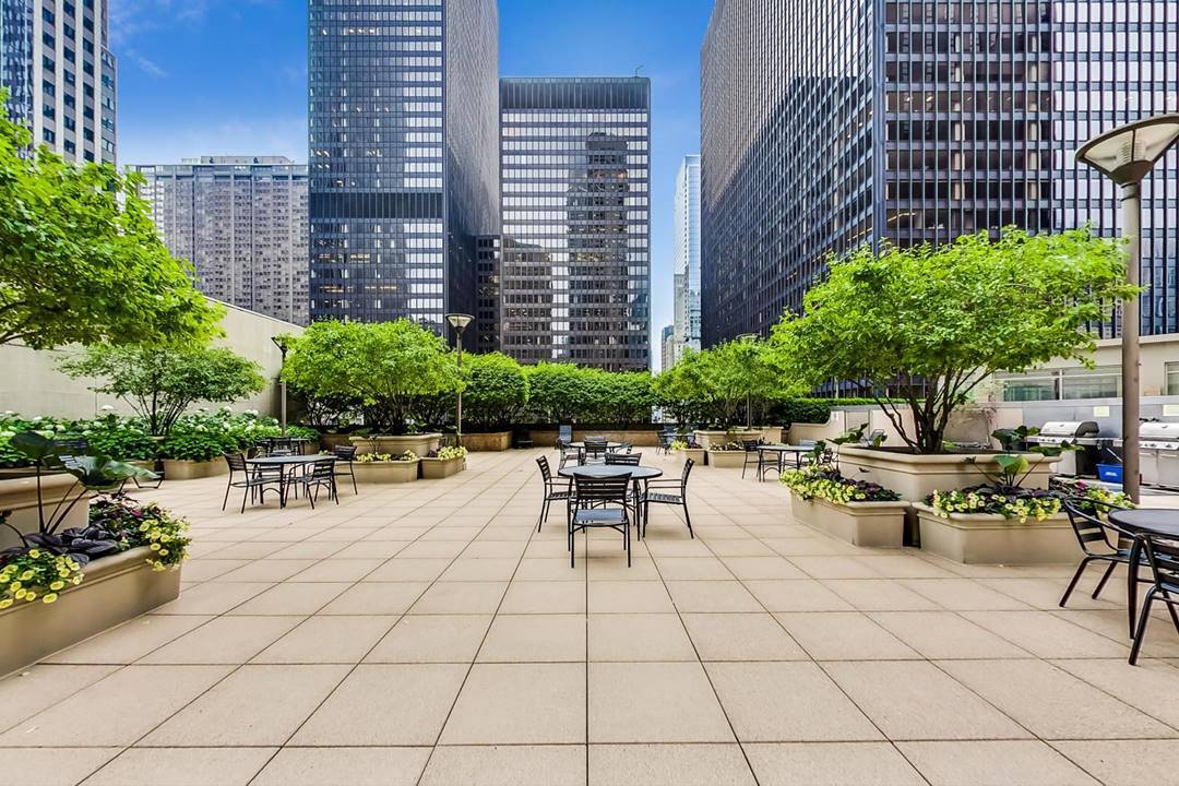 222 N Columbus Drive Unit: 4803