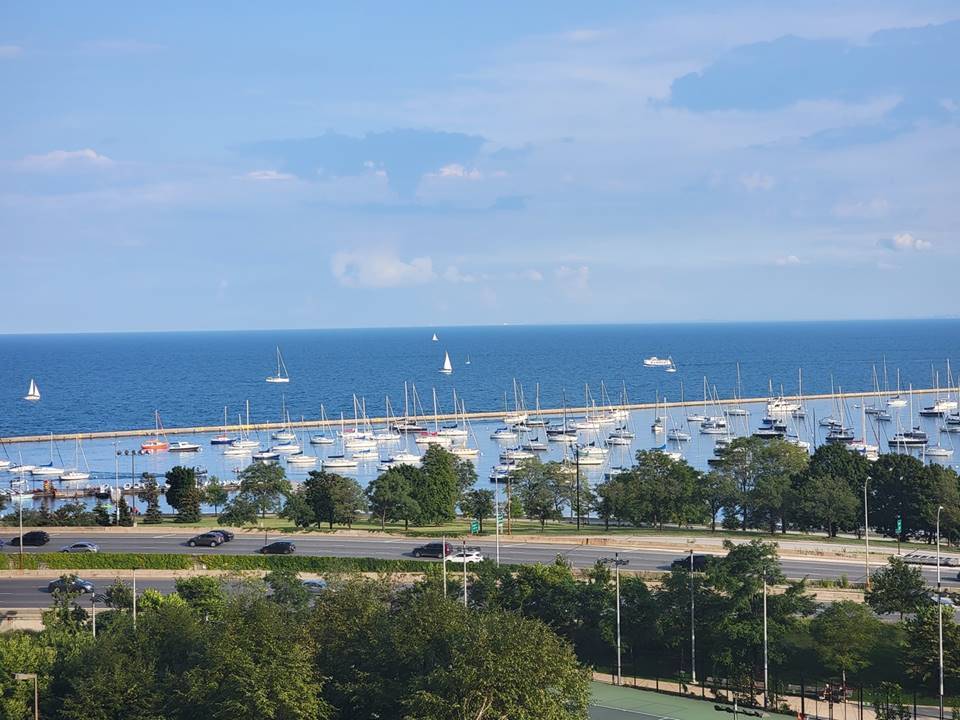 400 E Randolph Street Unit: 1217