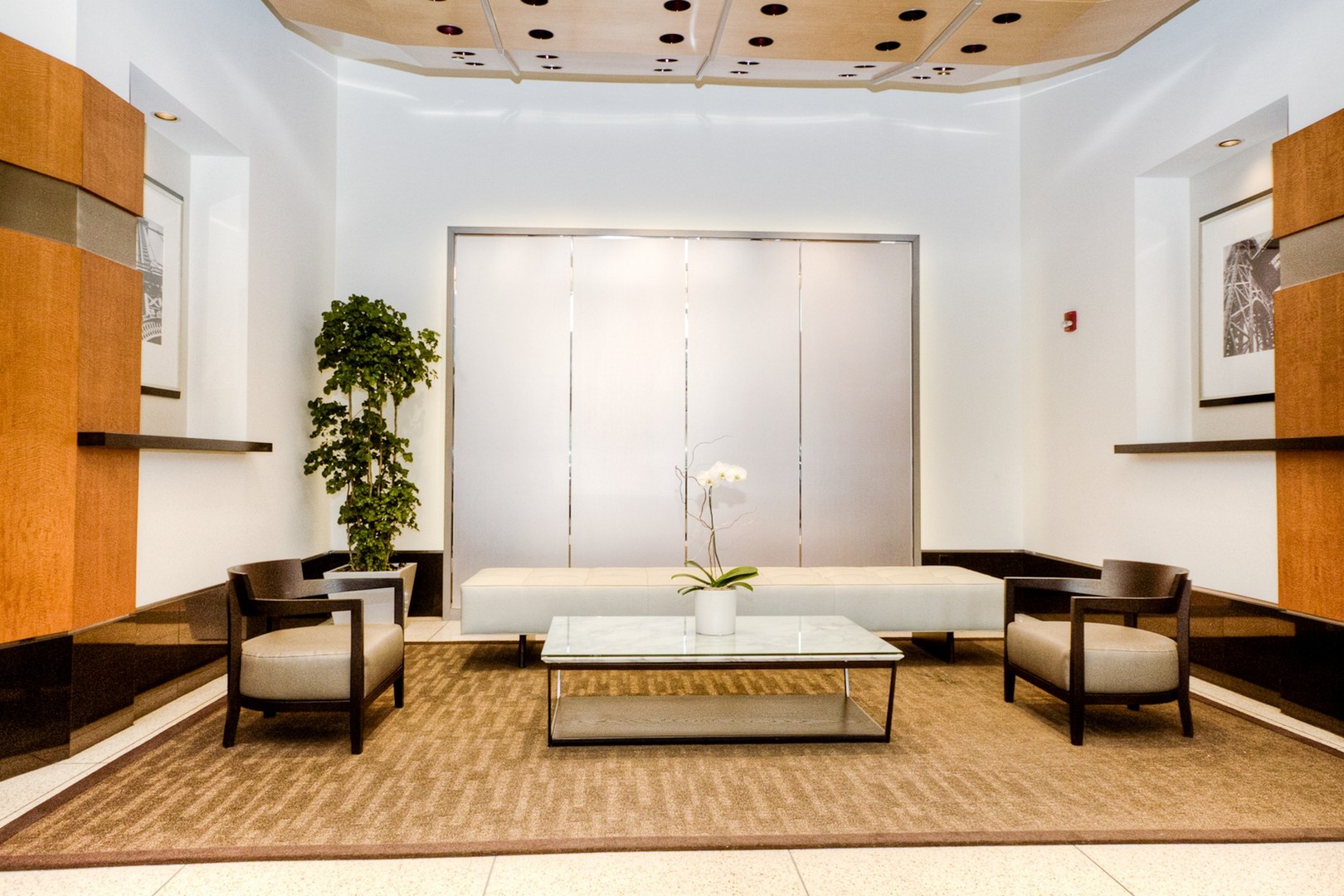 512 N McClurg Court Unit: 2501