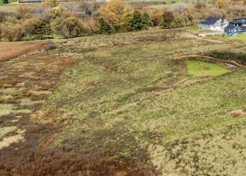7791 Bluestem Trail