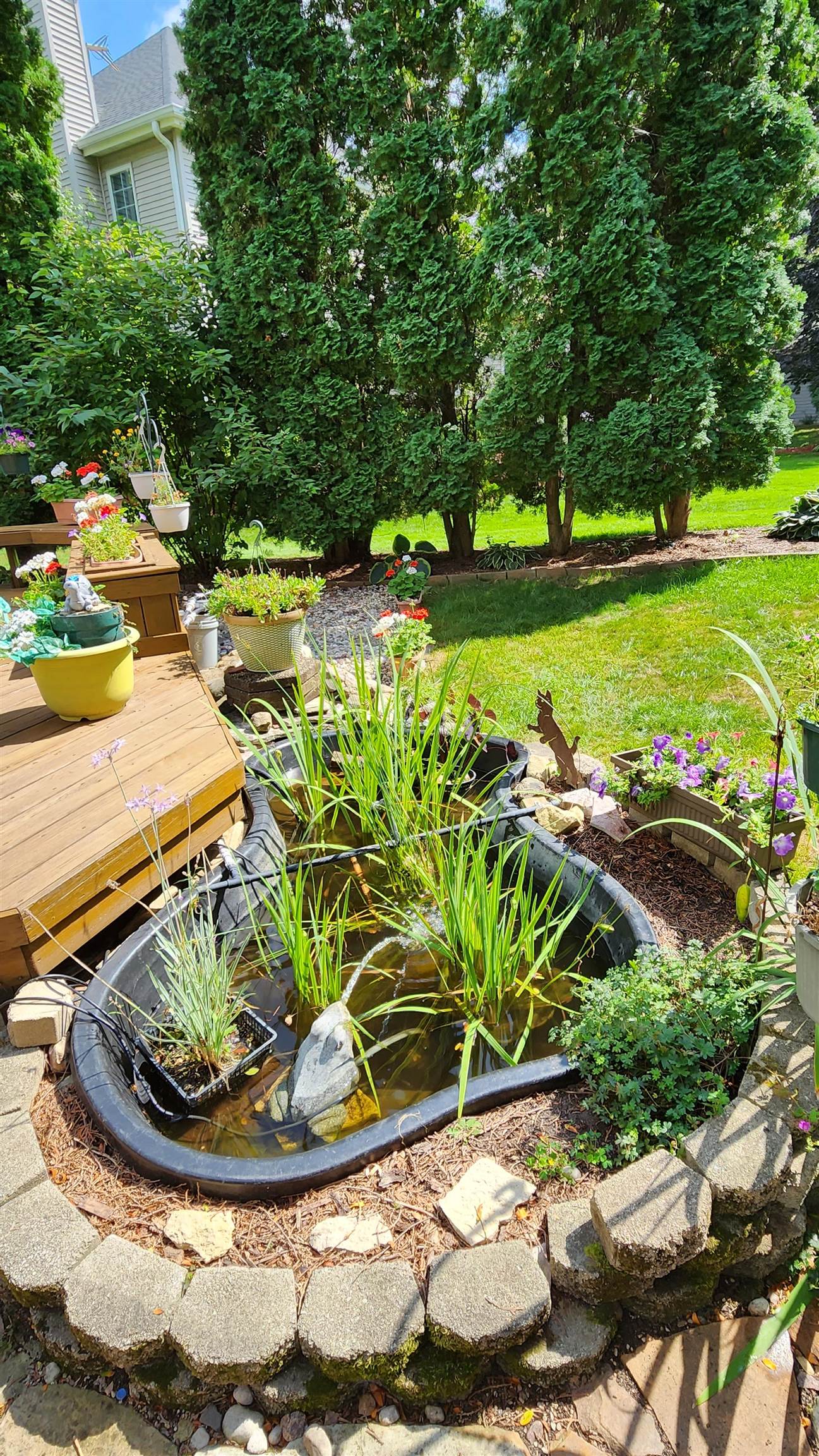 913 Sauk Ridge Trail