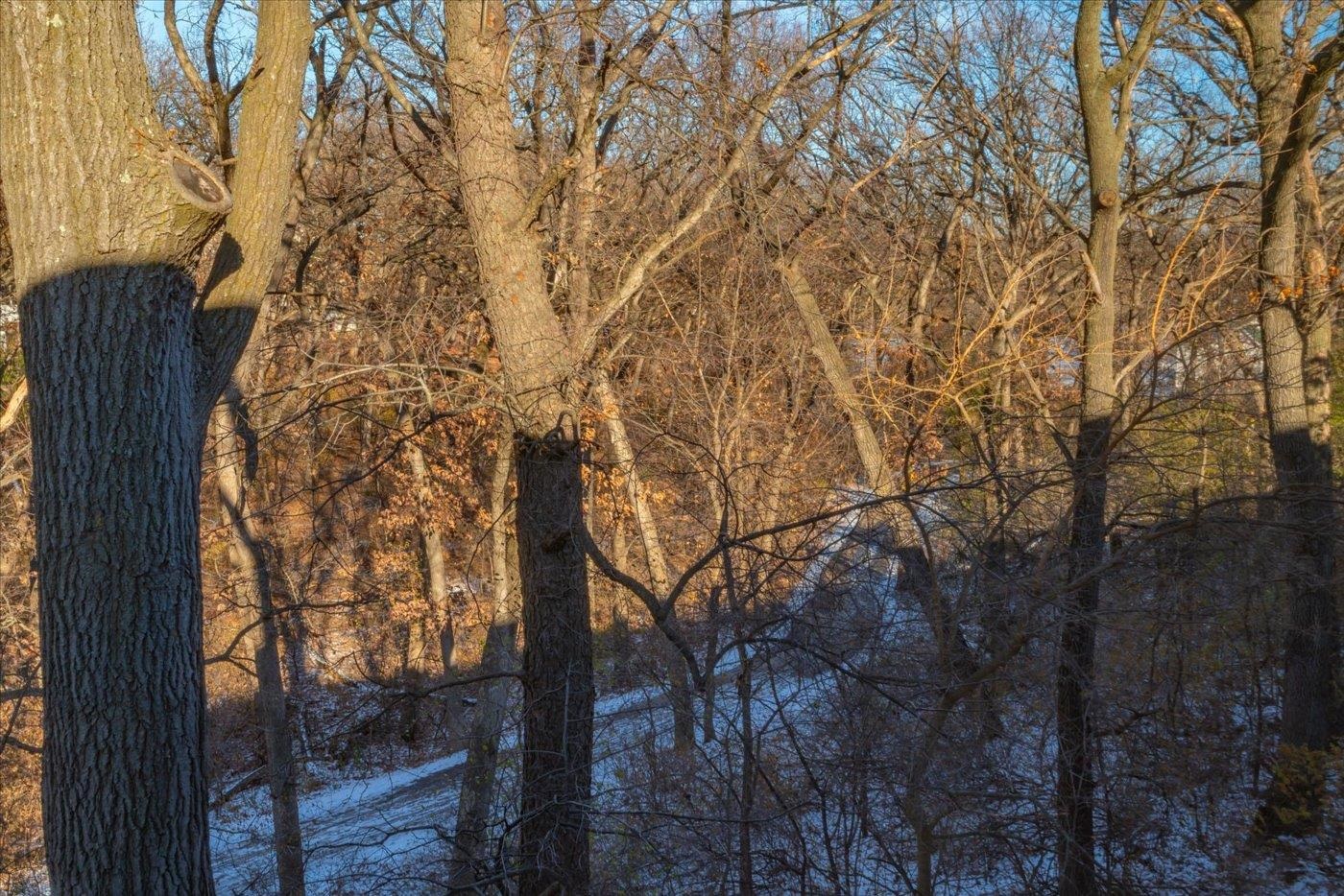 3018 Yarmouth Greenway Drive 203