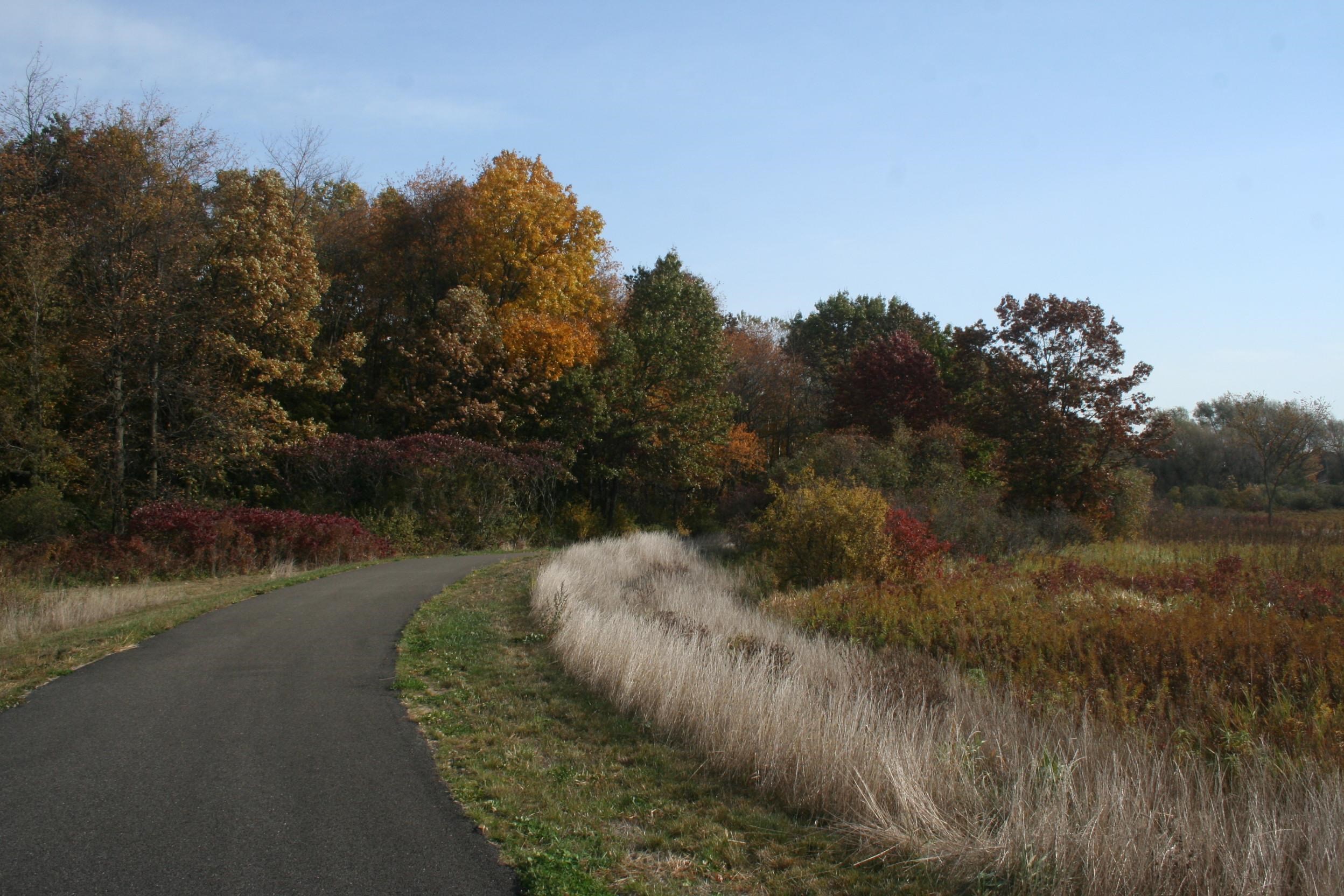 L213 Autumn Blaze Trail