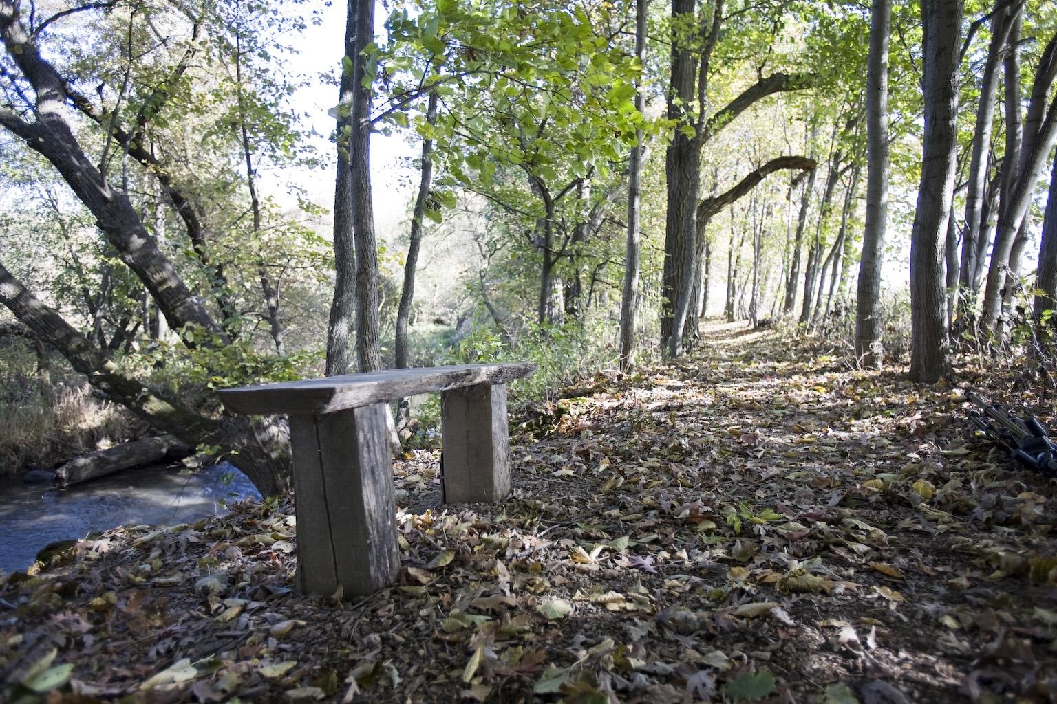 L212 Autumn Blaze Trail