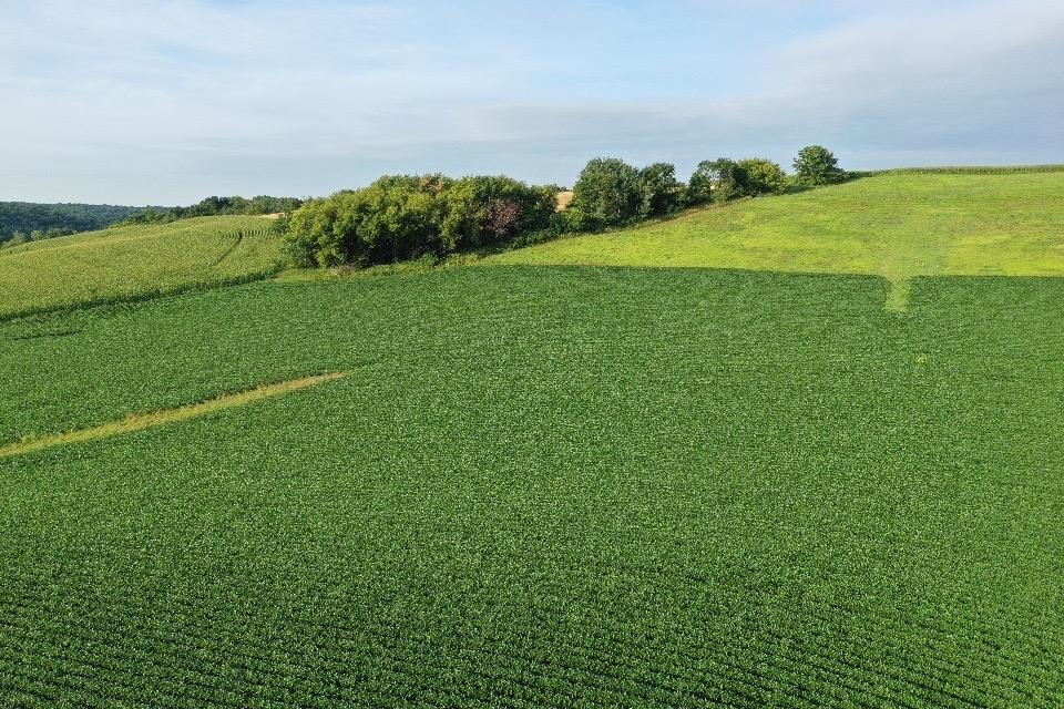 67.82 Acres Whippoorwill Road