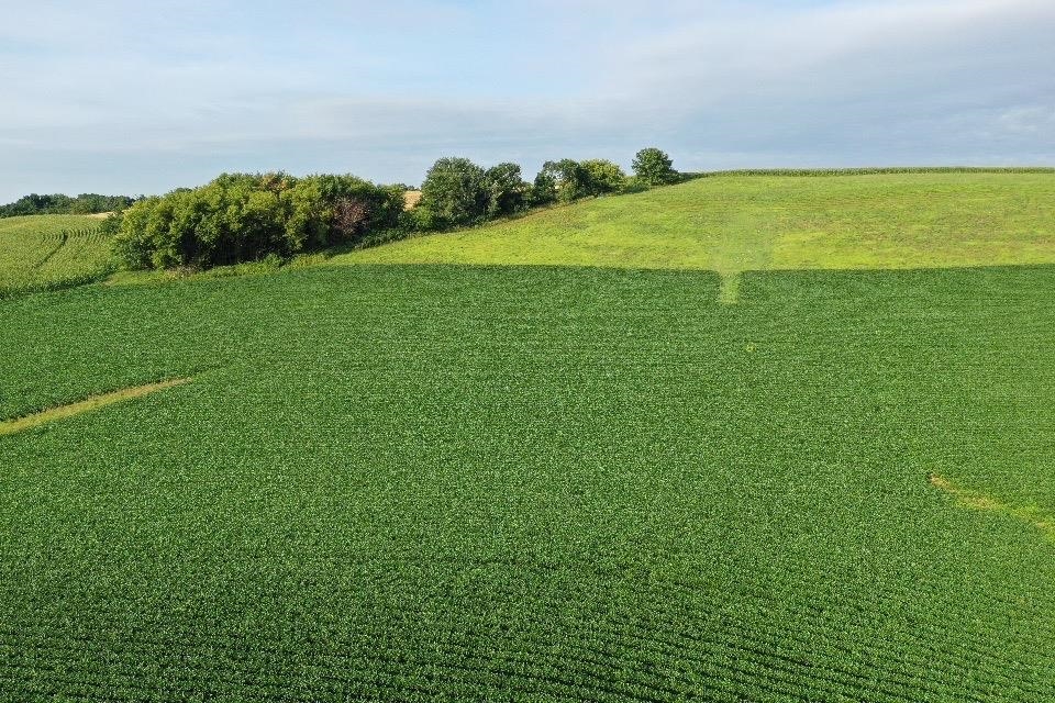 67.82 Acres Whippoorwill Road