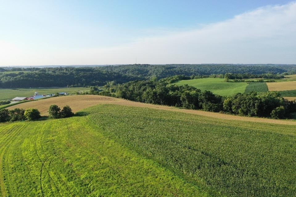 67.82 Acres Whippoorwill Road
