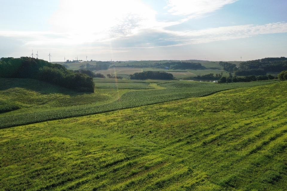 67.82 Acres Whippoorwill Road