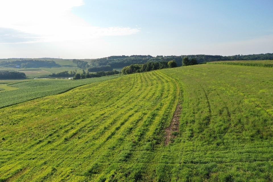 67.82 Acres Whippoorwill Road