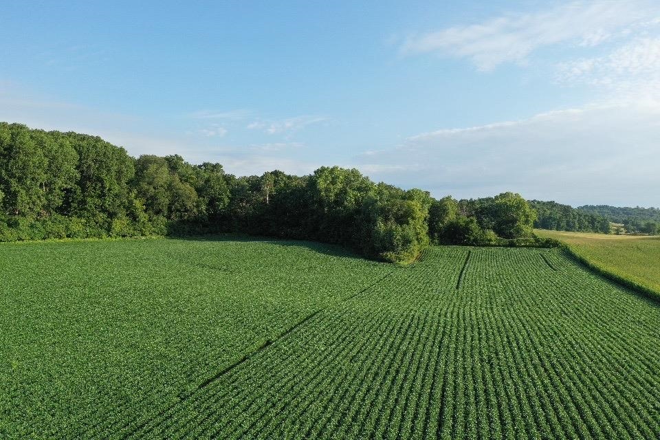 67.82 Acres Whippoorwill Road