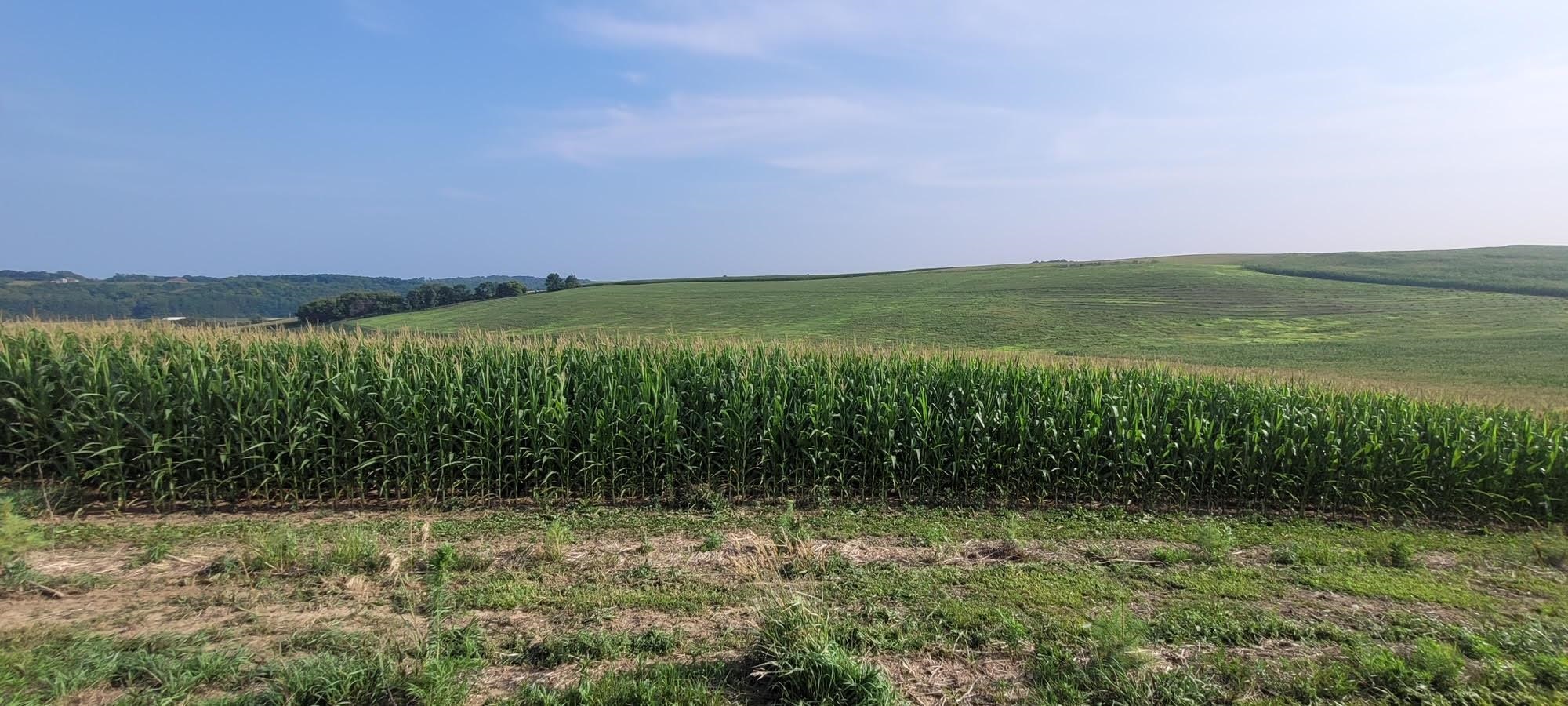 67.82 Acres Whippoorwill Road