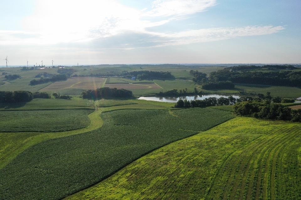 67.82 Acres Whippoorwill Road